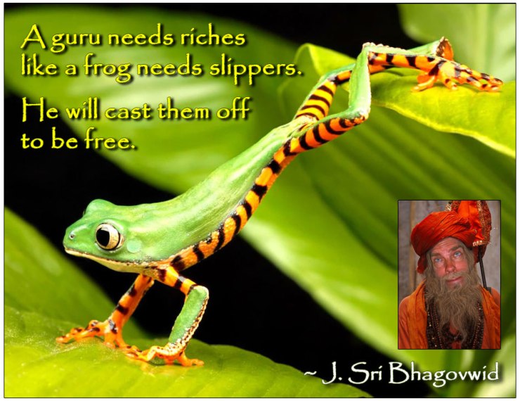 A-guru-needs-riches-like-a-frog-needs-slippers