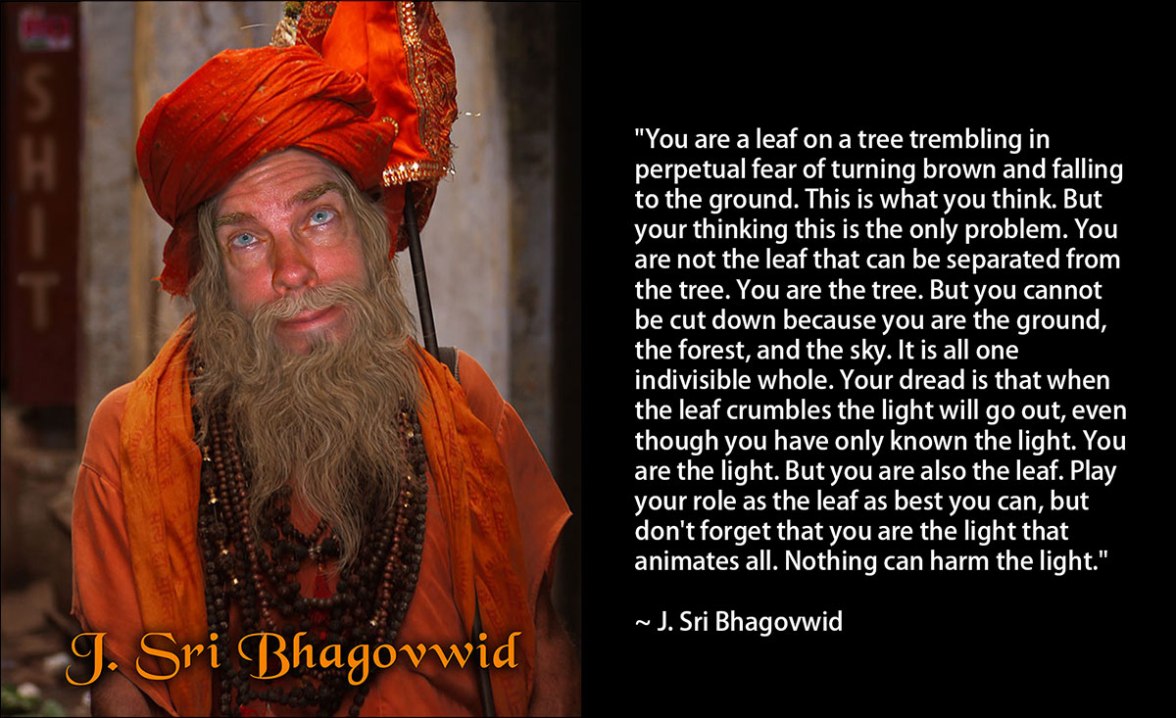 Sri-Bhagovwid-Quote