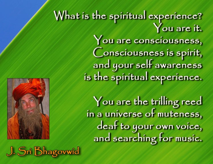 the-spiritual-experience