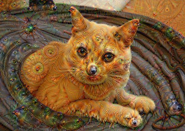 Google Deep Dream inceptionism cats dogs