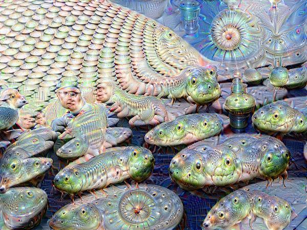 Google Deep Dream inceptionism frog fish snake rocks